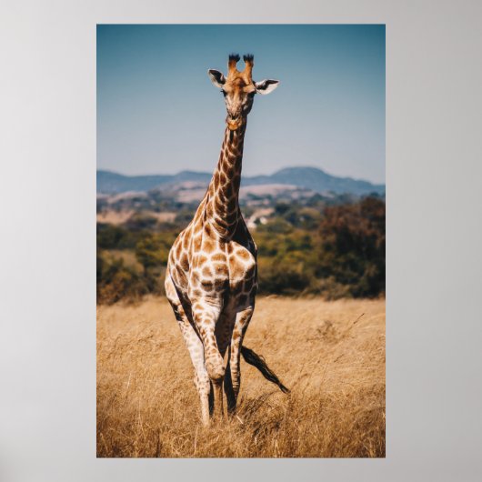 POSTER GIRAFFE ENTOURÉ DE GRASS BROWN (Devant)