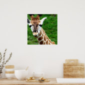 Poster Giraffe Imprimer (Cuisine)