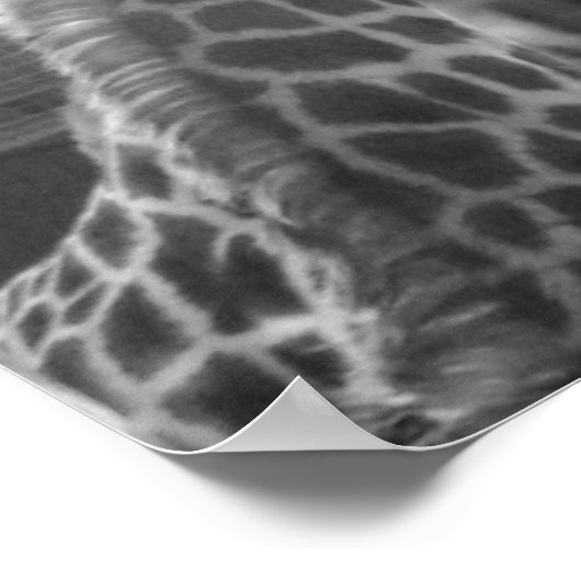 Poster Giraffe Love (Coin)