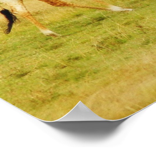 Poster Giraffe Masai Mara, Kenya poster, imprimer, photo (Coin)