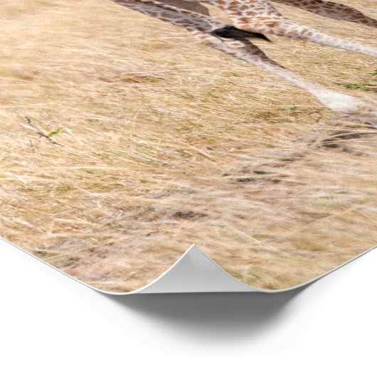 Poster Giraffe Mère et bébé au Kenya (Coin)