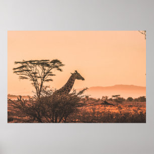 POSTER GIRAFFE NOIR ET BLANC SUR LE CHAMP GRASS BROWN