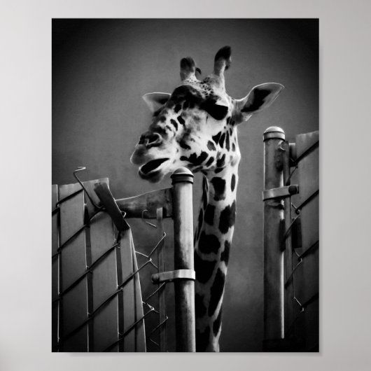 Poster Giraffe Photograph - Vintage Style (Devant)
