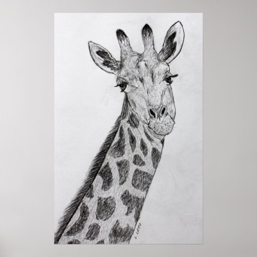 Poster Giraffe Portrait crayon croquis dessin art imprime (Devant)