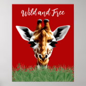 Poster Giraffe Sauvage Et Gratuite (Devant)