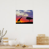 Poster Giraffe silhouette au lever du soleil, Giraffa (Cuisine)