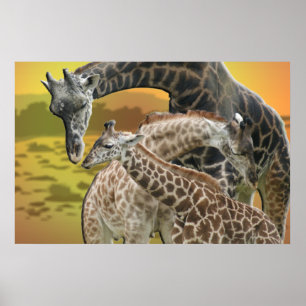 POSTER GIRAFFE TWISTER LOVE TRIANGLE FRAMED IMPRIMER
