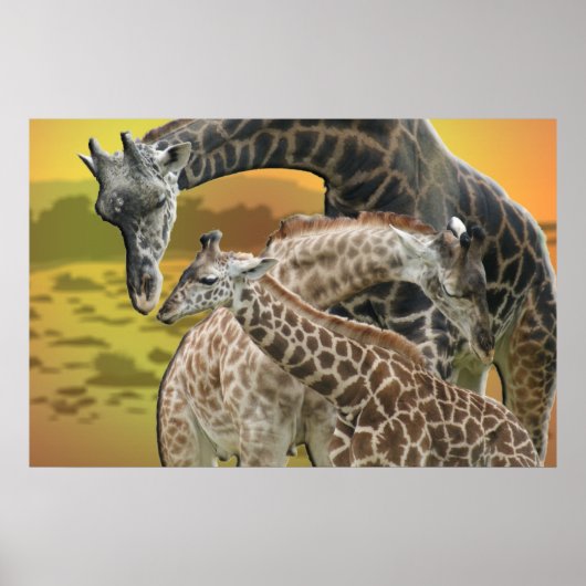 POSTER GIRAFFE TWISTER LOVE TRIANGLE FRAMED IMPRIMER (Devant)