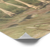 Poster Giraffe vintage 1894 Imprimer Plaines africaines (Coin)