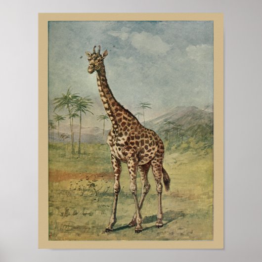 Poster Giraffe vintage Art animal Imprimer Histoire natur (Devant)