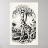 Poster Giraffe vintage Illustration d'animal personnalisé (Devant)