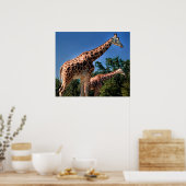 Poster Giraffes (Cuisine)