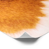 POSTER GIRAFFES (Coin)