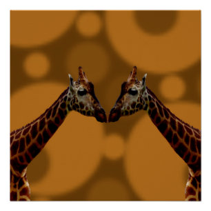Poster Giraffes super A Go Go,
