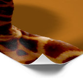 Poster Giraffes super A Go Go, (Coin)