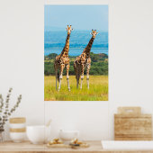 Poster Giraffes sur la Savanna, Ouganda (Cuisine)