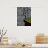 Poster Girl in the Tree (Cuisine)