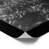 Poster Girl Picking Cranberries près de Rochester, MA 191 (Coin)