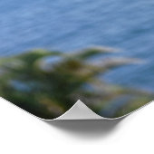 Poster Girouette Baleine à Bosse (Coin)