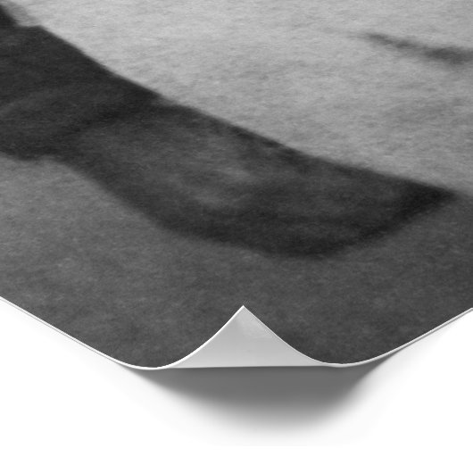 Poster Giuseppe Garibaldi (Coin)