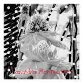 Poster glacé Ananas et fraise blanc (Devant)