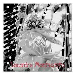 Poster glacé Ananas et fraise blanc