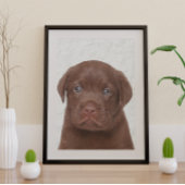 Poster glacé au chocolat Labrador