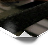 Poster glacé Bourkes Parakeet (Coin)