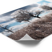 Poster glace de prarie (Coin)