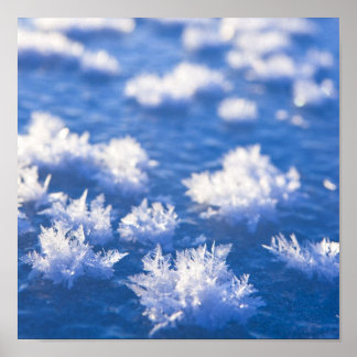 Poster Glace de snowflake