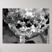 Poster Glace déliée (Devant)