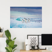 Poster Glace et neige | Adelie Penguins Antarctique (Bureau à domicile)