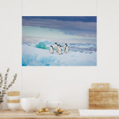 Poster Glace et neige | Adelie Penguins Antarctique (Cuisine)