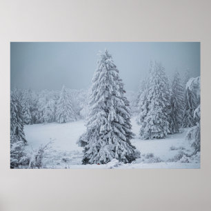 Poster Glace et neige Bois, Alpes suisses