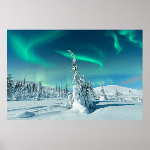 Poster Glace et neige   Northern Lights, Laponie, Finland