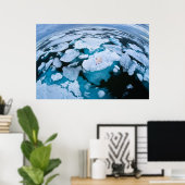 Poster Glace et neige | Ours polaire, Océan Arctique, Sva (Bureau à domicile)