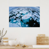 Poster Glace et neige | Ours polaire, Océan Arctique, Sva (Cuisine)