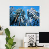 Poster Glace et neige | Parc national de Sequoia, Califor (Bureau à domicile)