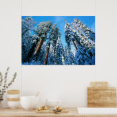 Poster Glace et neige | Parc national de Sequoia, Califor (Cuisine)