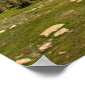 Poster Glace et neige | Parc national des Glaciers, Monta (Coin)