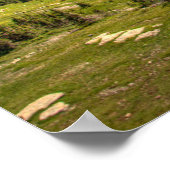 Poster Glace et neige | Parc national des Glaciers, Monta (Coin)