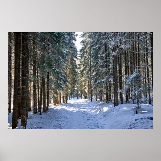 Poster Glace et neige | Tatra Mountains, Pologne (Devant)