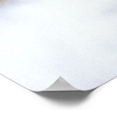 Poster glacé Ibis (Coin)