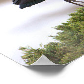 Poster glacé Ibis (Coin)