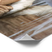 Poster Glace mince (Coin)