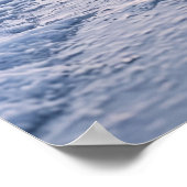 Poster Glace Pingouin Horizon (Coin)