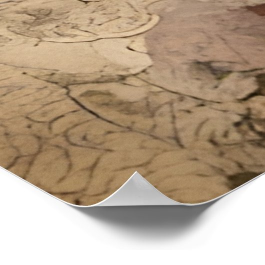 Poster Glace Sundae Collage (Coin)