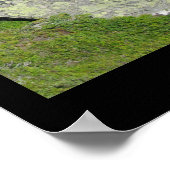 Poster Glacier Aletsch, Suisse (Coin)