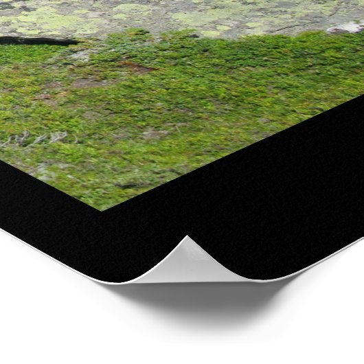 Poster Glacier Aletsch, Suisse (Coin)