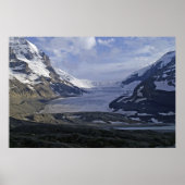 Poster Glacier Athabasca (Devant)
